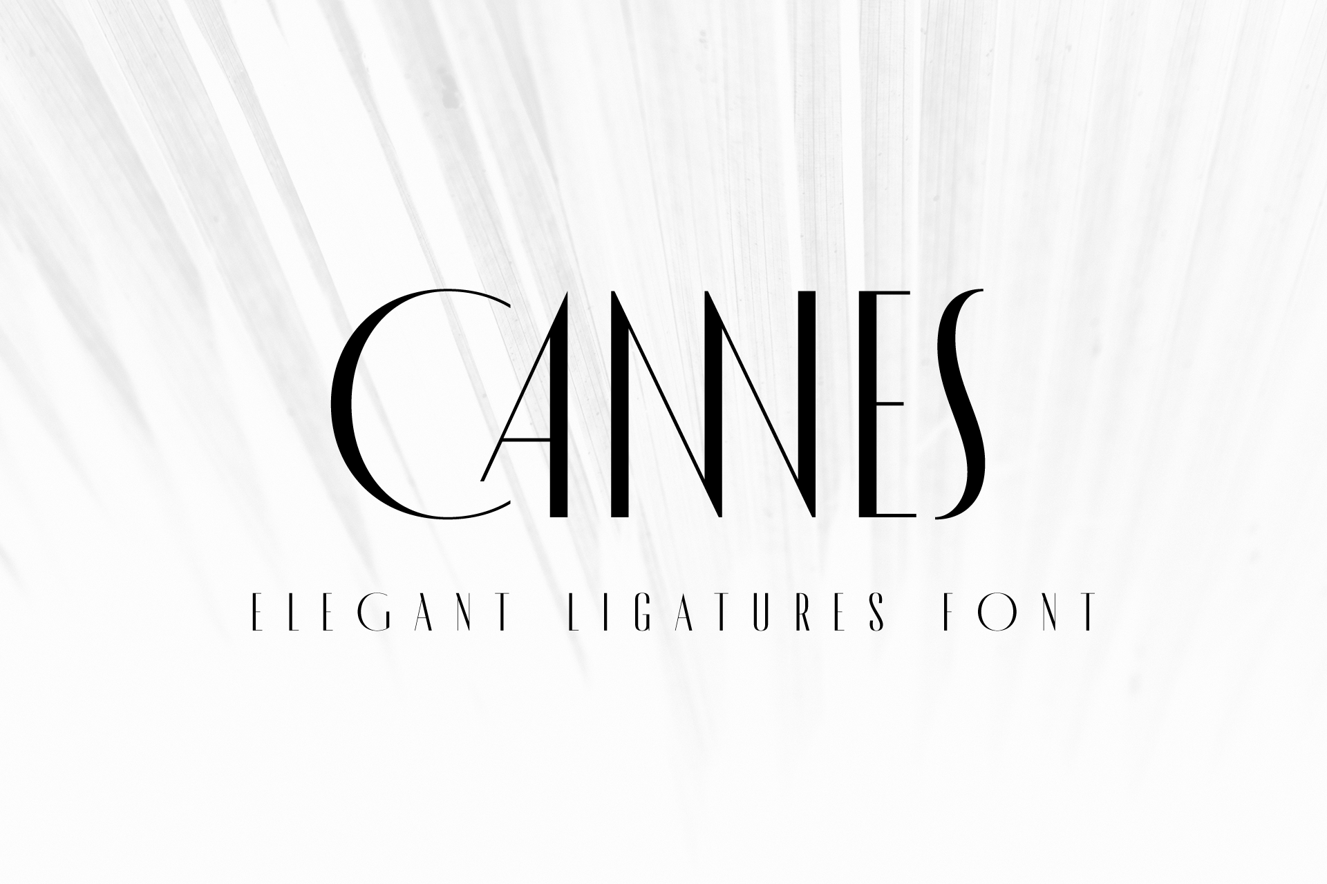 Элегантный шрифт. Изысканные шрифты. Шрифт made Cannes. Изящный логотип.