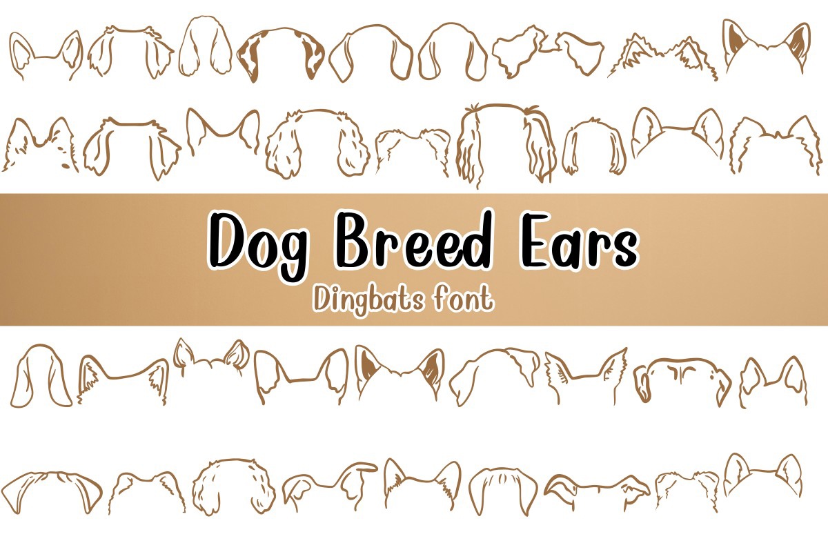 Dog Breed Ears